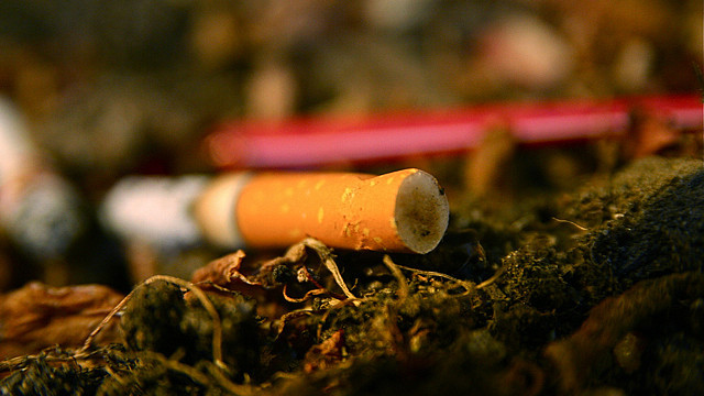 Students have teamed up to pick up discarded cigarette butts on campus.