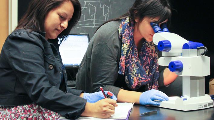 The National Science Foundation funds CSUSM students in the Noyce Science and Math 