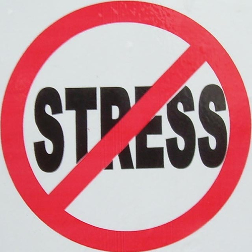 No stress logo