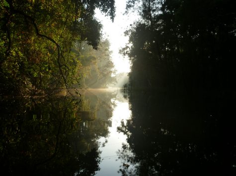Spirits lurk in local lagoon and food chain