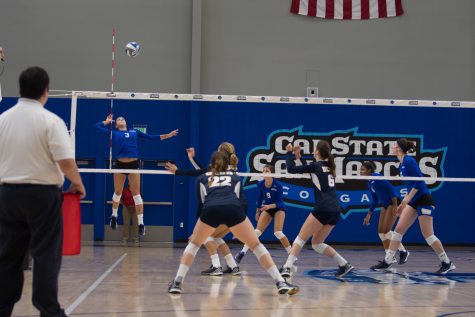 Cougars fall short on senior night