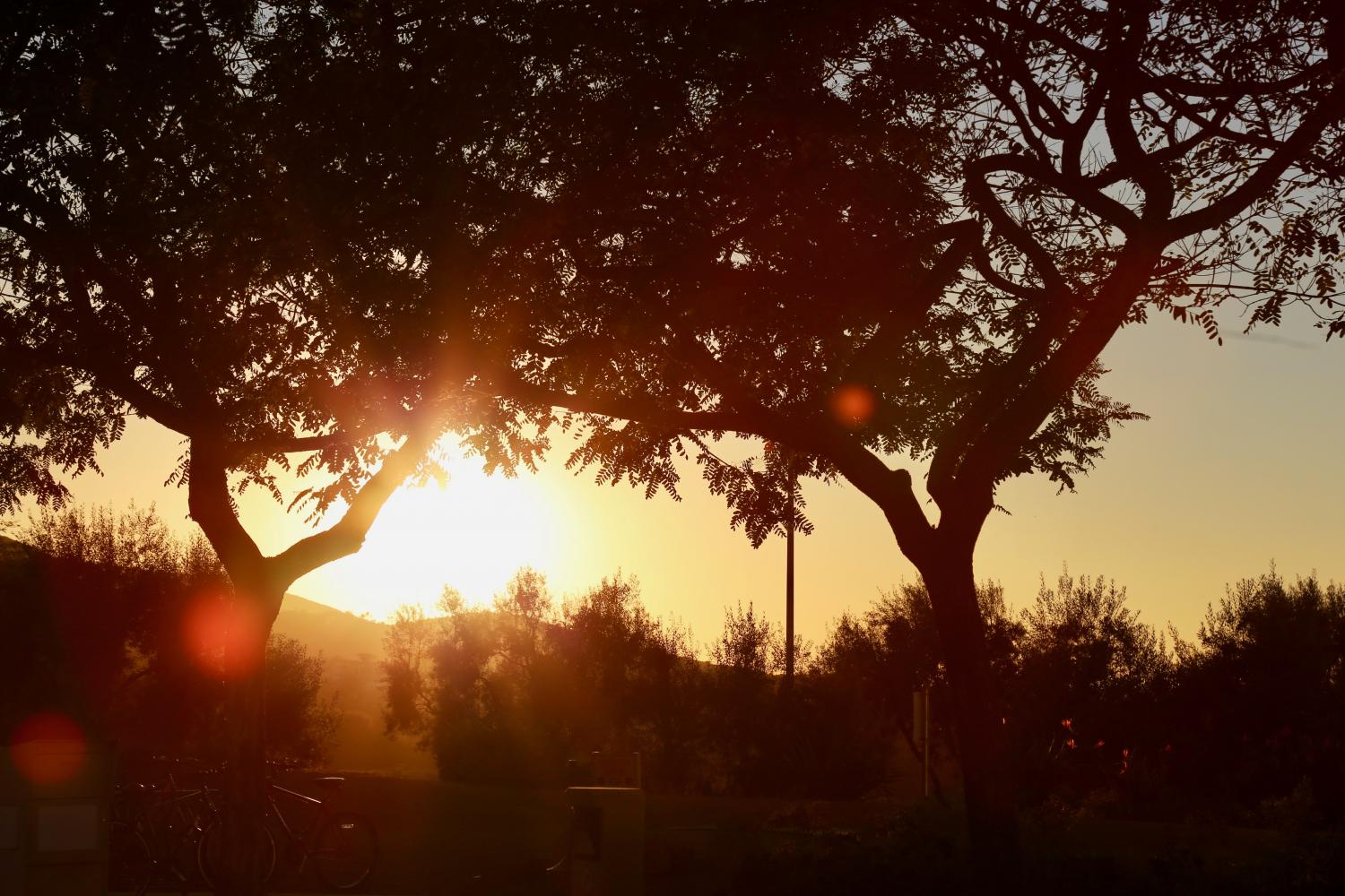 A beautiful sunset as seen from CSUSM campus might shine a light of appreciation of the small things.