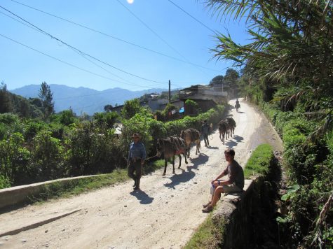 How a study abroad program opened my eyes