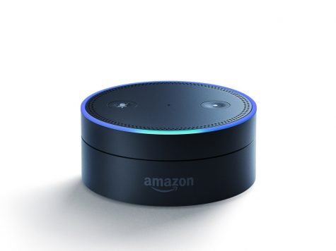 Beware our friend, Alexa, and her effects on future generations