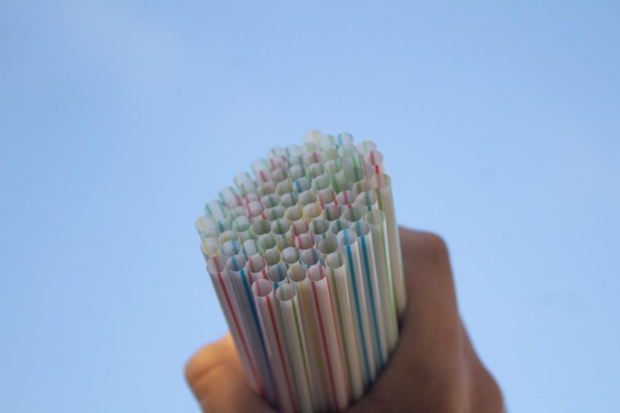 The problem with the plastic straw ban