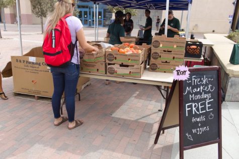 Food insecurity initiative aids CSUSM students