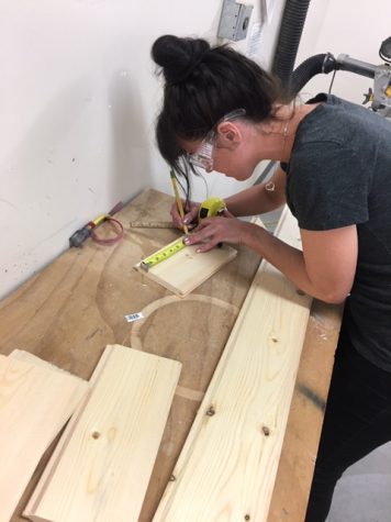 Student brings class project to life with art installation in Vista