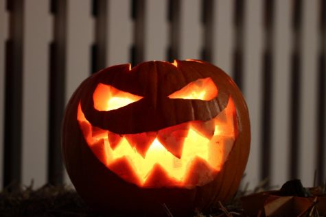 Get in the Halloween spirit with these easy tips/Halloween inspired crafts!
