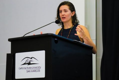 Students hear perspective of immigration reporter
