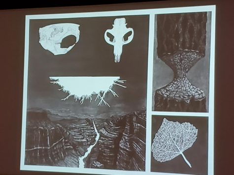 Artist speaks on combating environmental problems with art