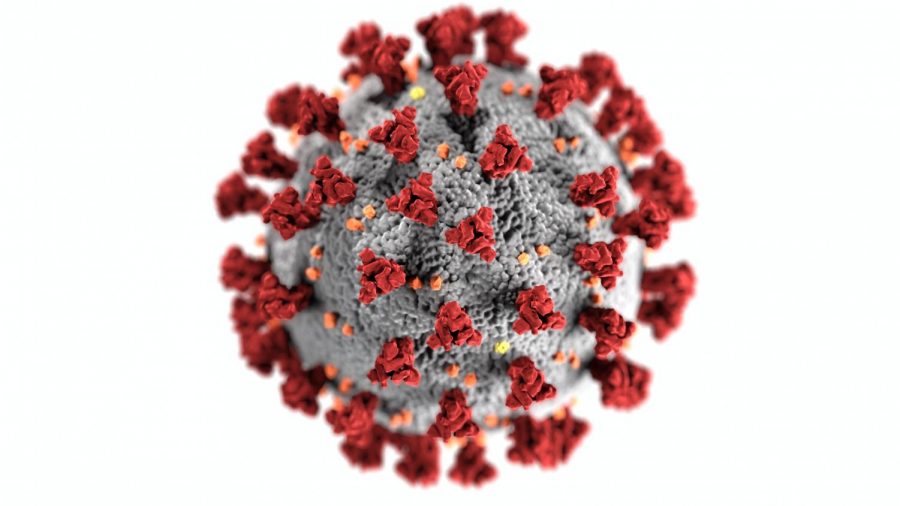 CSUSM+appears+to+have+avoided+a+coronavirus+crisis%2C+with+no+cases+reported+as+of+Sept.+29.