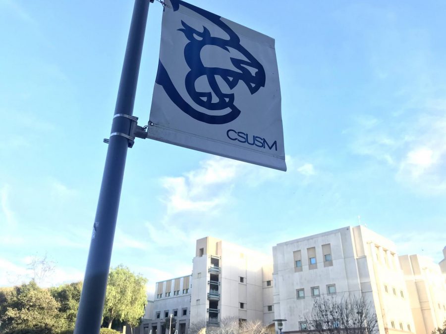 CSUSM’s annual security report showed that there was a net increase in reported crimes and violations of state and local drug, liquor and weapons laws in 2019 compared to the previous year. 