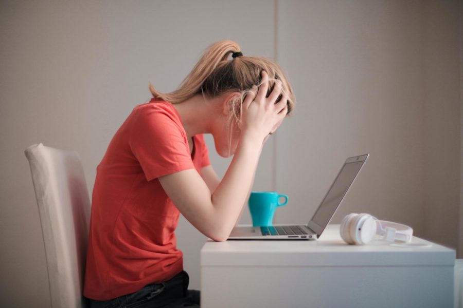 Students are feeling more academic burnout during the online learning period. 