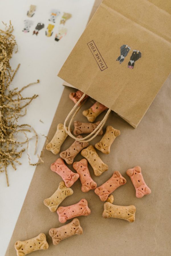 Productions on Pexels
Pamper your pooch with this simple dog treat recipe. It only requires three ingredients and your pup is sure to enjoy it. 

