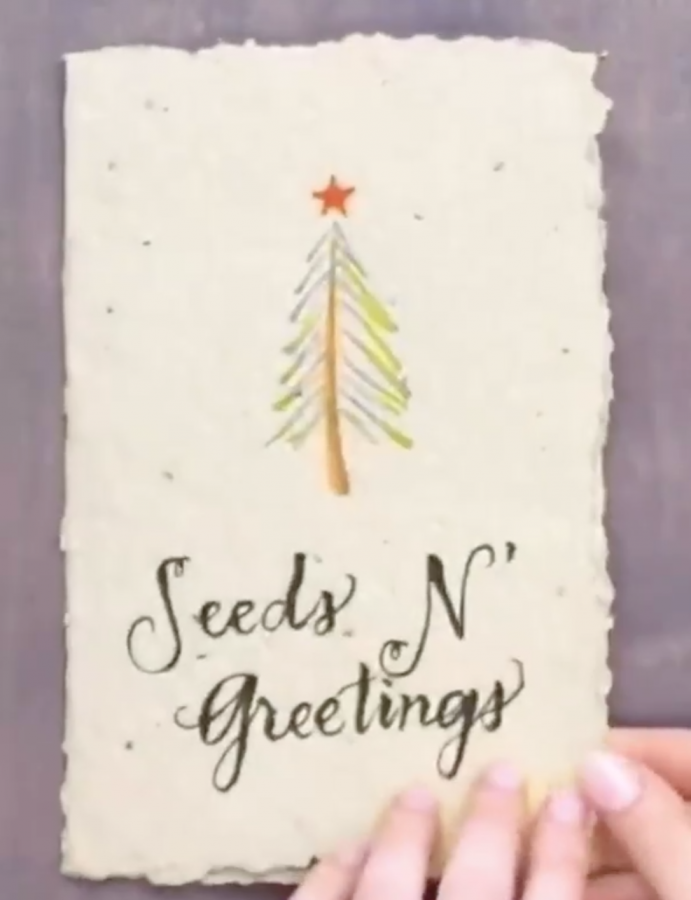 DIY: Seed-starter holiday greeting card