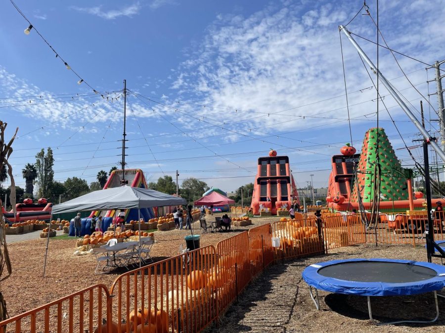 This small local pumpkin patch has been a San Marcos favorite for years.